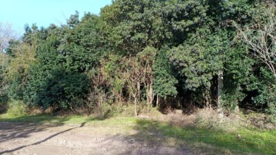 Terreno en venta en Río Ceballos B° San Isidro