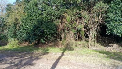 Terreno en venta en Río Ceballos B° San Isidro