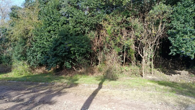 Terreno en venta en Río Ceballos B° San Isidro