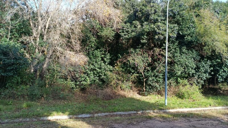 Terreno en venta en Río Ceballos B° San Isidro