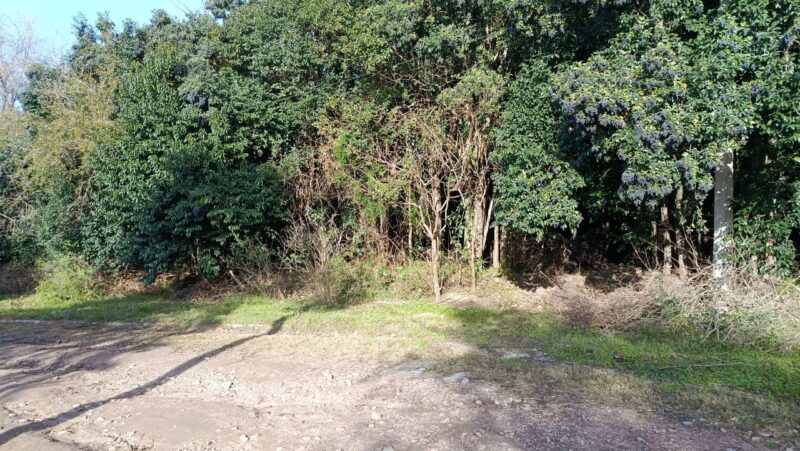 Terreno en venta en Río Ceballos B° San Isidro
